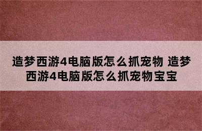 造梦西游4电脑版怎么抓宠物 造梦西游4电脑版怎么抓宠物宝宝